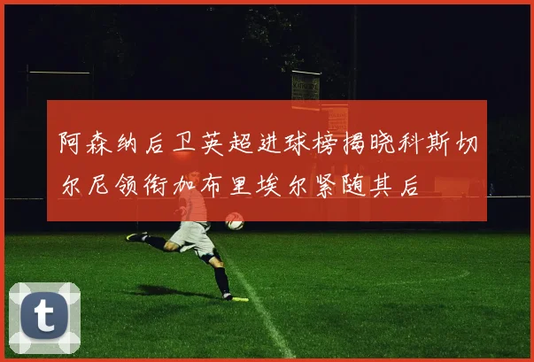 阿森纳后卫英超进球榜揭晓科斯切尔尼领衔加布里埃尔紧随其后